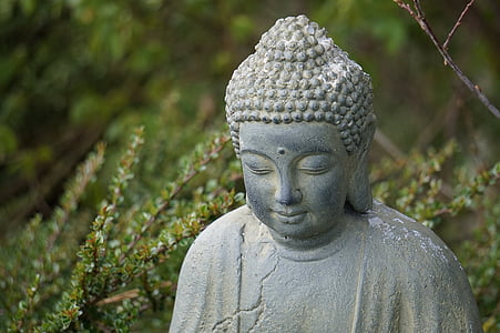 selective focus photography of buddha statue