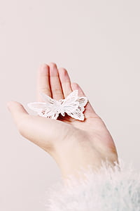 white butterfly decor on human palm