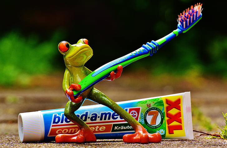 green frog figurine holding toothbrush at daytime
