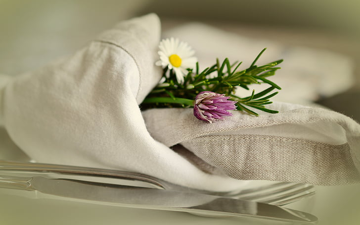 closeup photography of white daisy flower covered with white towel