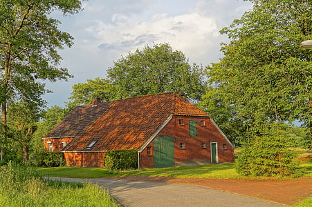 brown and green barn house near trees