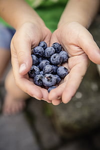 blueberries on person's hands