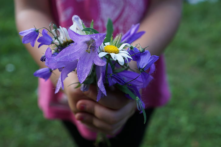 girl holding a purple and white petaled flowers