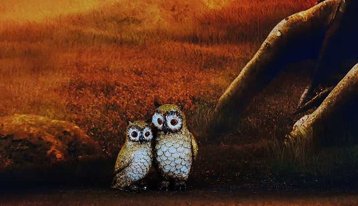 two owl painting