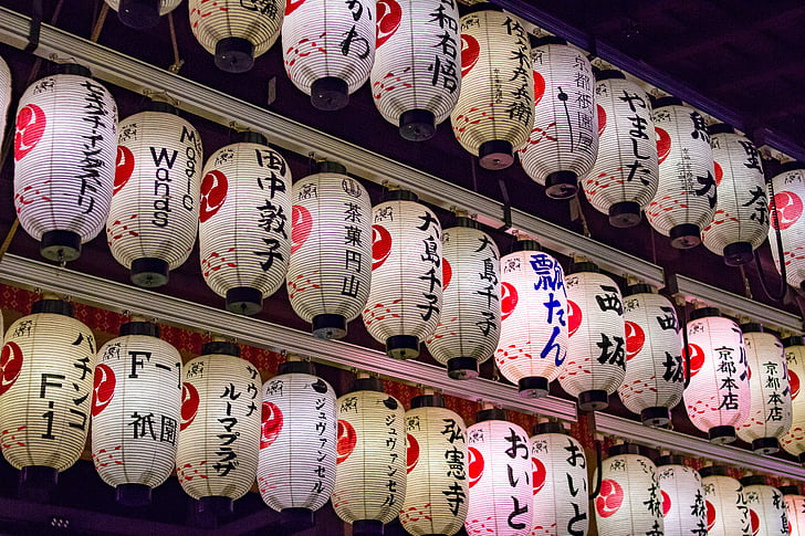 lighted and hanged Japanese paper lanterns
