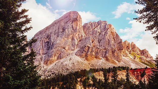 brown mountain surrounded with trees
