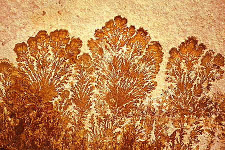 brown trees artwork