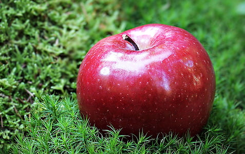 red apple on green grass