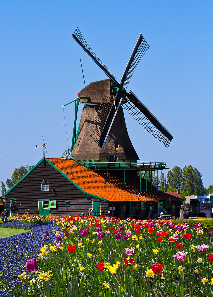 brown and green windmill