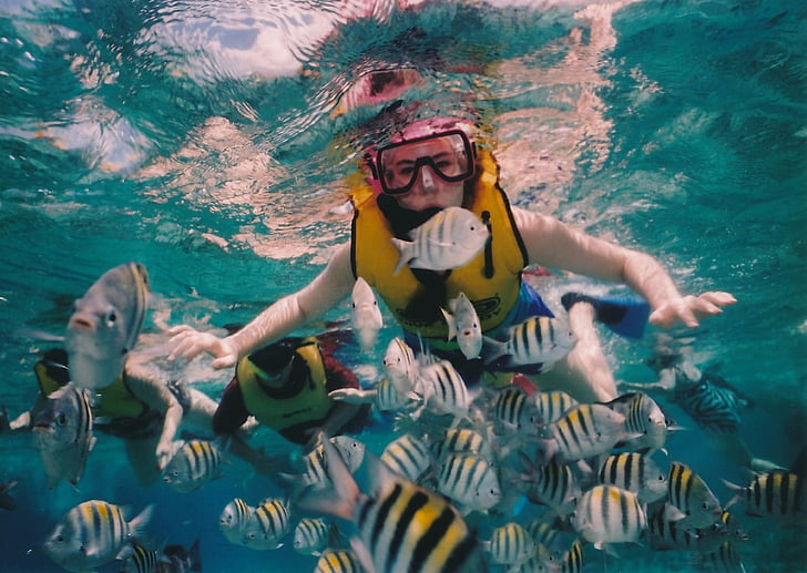person swimming underwater surrounded by gray-and-black school of fish