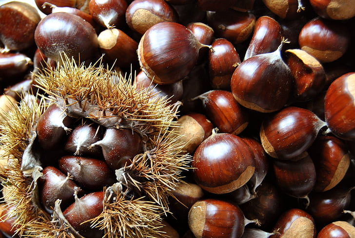 closeup photo of almond nuts