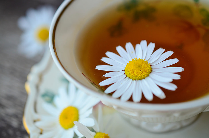 selective focus photography of white chamomile flower floating on tea