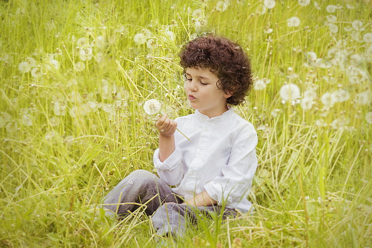 toddler holding and blowing white dandelion flower at daytime