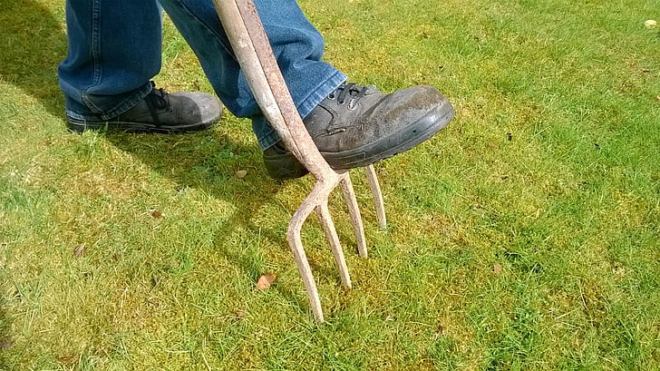 photo of person stepping on lawn rake