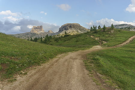 pathway between grass fields