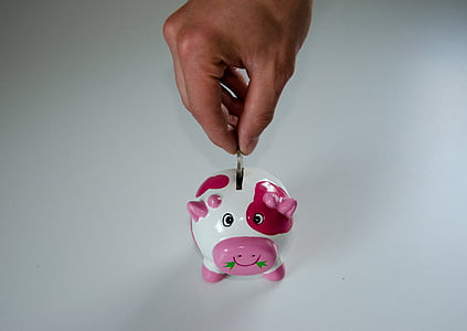pink and white piggy bank