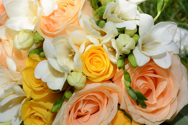 photo of peach-colored roses and white petaled flowers