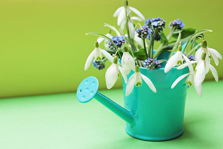 focused photo of watering can and white and purple flowers