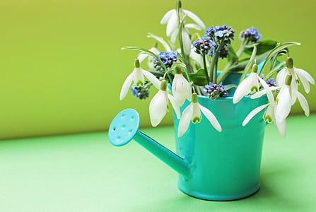 focused photo of watering can and white and purple flowers