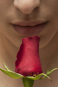 red rose near person's lips