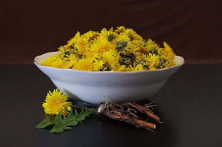 yellow petaled flowers in white ceramic bowl
