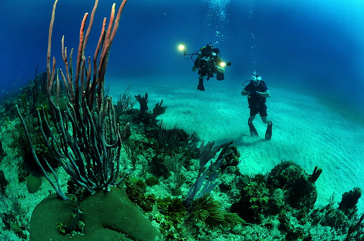 two divers taking photo under sea
