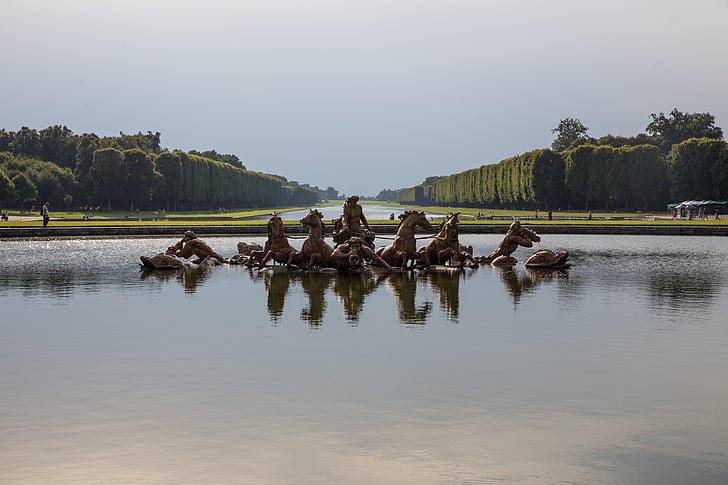 horse on body of water in front of tall trees