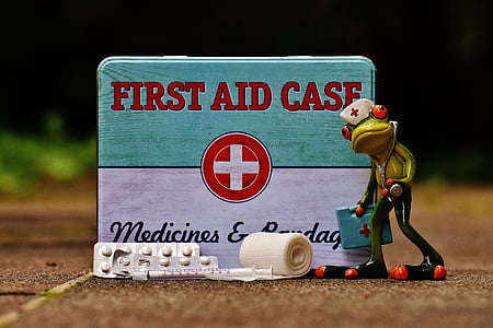frog figurine beside First Aid Case box