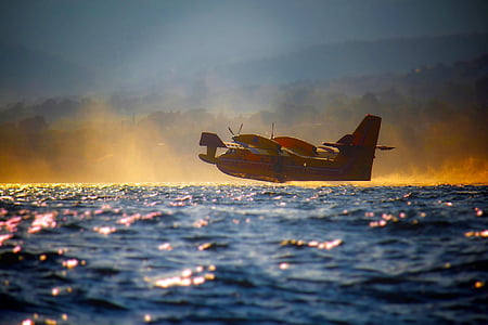 red and white plane on body of water