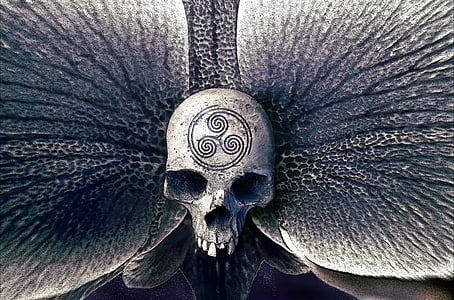 gray skull emblem
