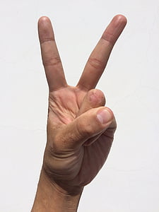 peace human hand sign