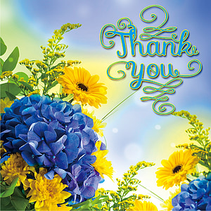 assorted-color petaled flowers with thank you text overlayu