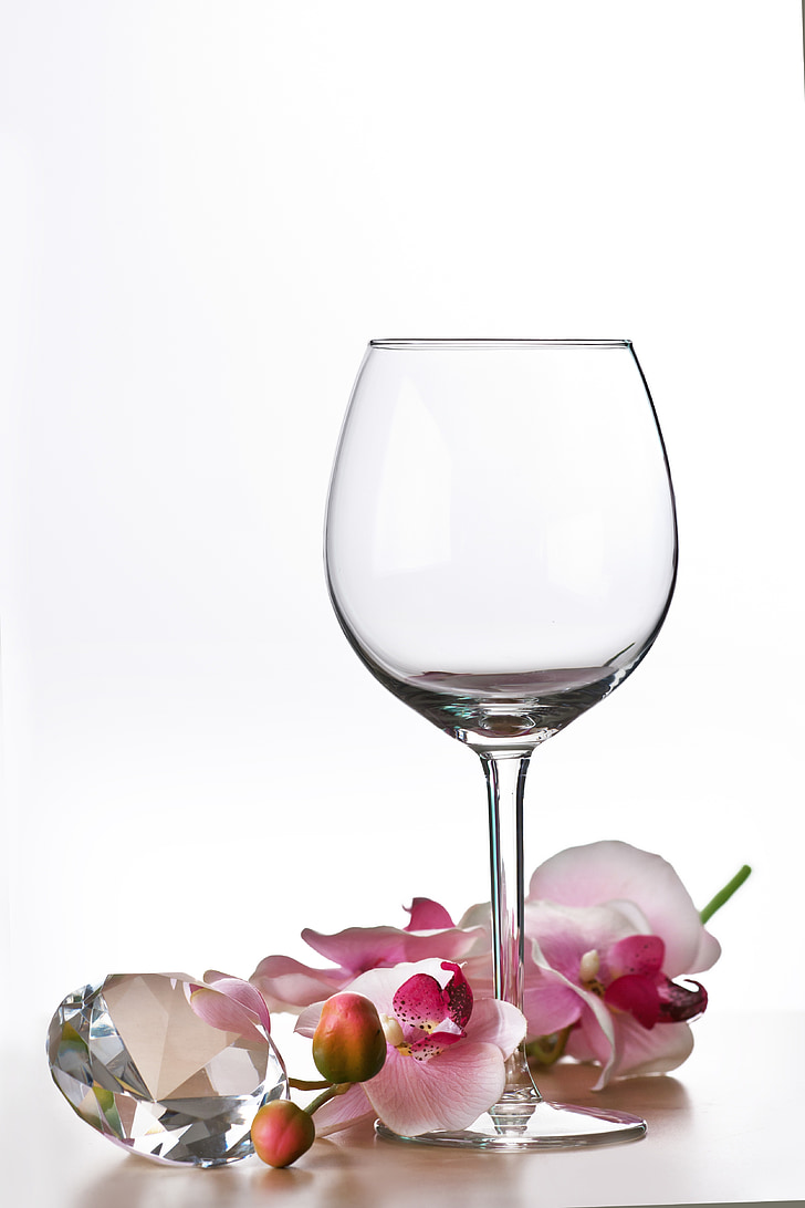 clear long-stemmed wine glass beside pink orchid flower