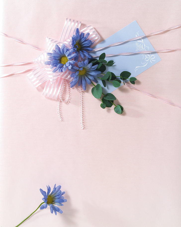 flat lay photography of blue flower