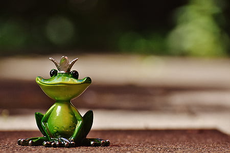shallow focus photography of frog figurine