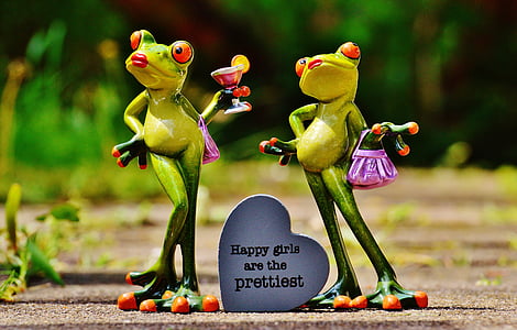 tilt-shift photo of two frogs figurine