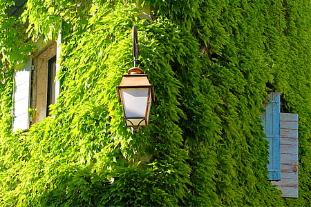 beige post light near green leafed plant