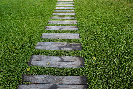 brown wooden pathway during daytime photo