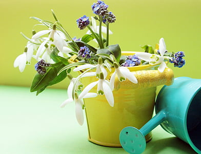 purple and white flowers in yellow bucket beside teal watering can