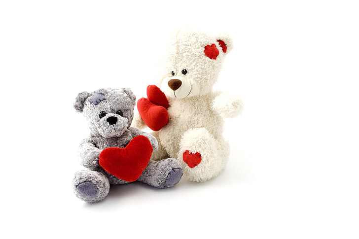 two white and grey teddy bears on white surface