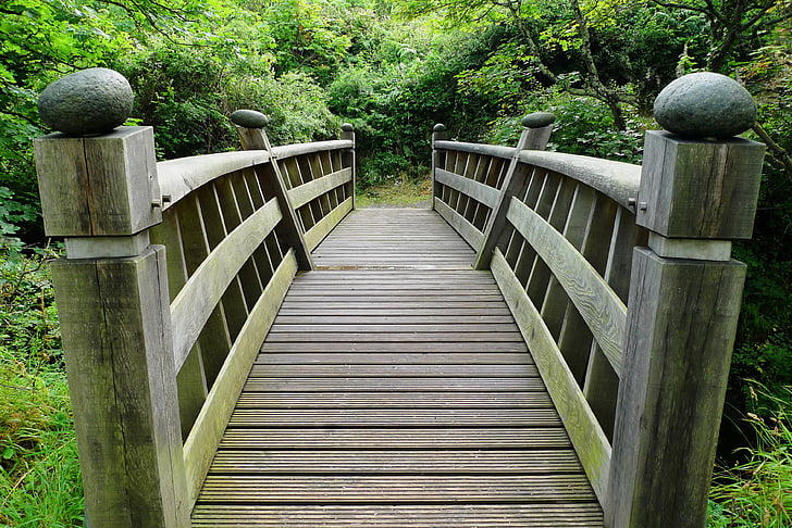 wooden bridge over body of water surrounded by trees