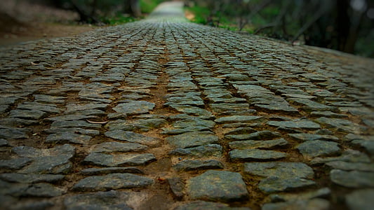 close-up photography of gray concrete pathway during daytime