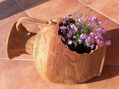 purple petaled flowers in brown clay pot
