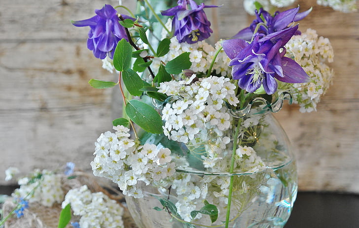 purple and white petaled flowers in glass vase in focus photography