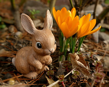 brown rabbit figurine beside orange flowers