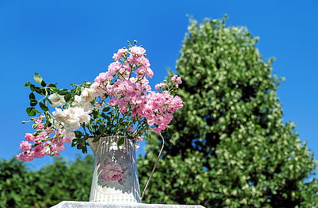 close-up photography of pink and white petaled flowers in white ceramic vase during daytime