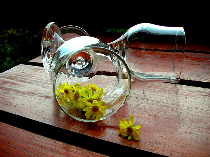 yellow flower in wine glass