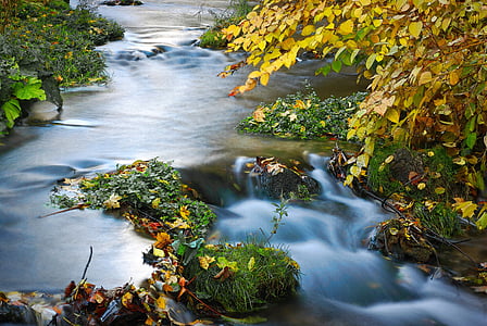 timelapse photograph of river between trees