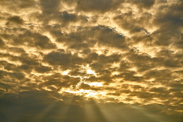 photo of sun rays