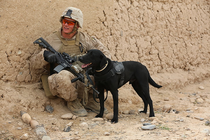 soldier holding gun sitting beside dog